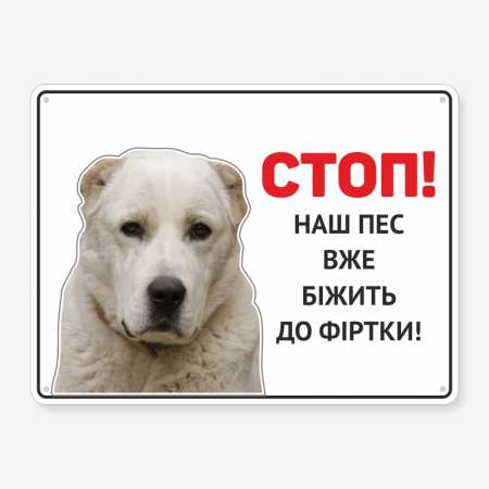 Табличка "Наш пес вже біжить" TS-0075