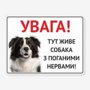 Табличка "Тут живе собака з поганими нервами" TS-0103