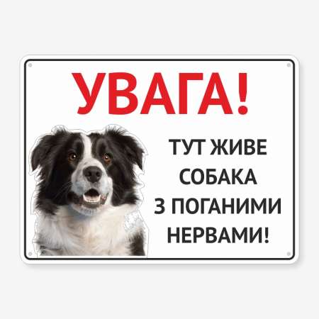 Табличка "Тут живе собака з поганими нервами" TS-0103