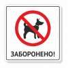Вигул собак заборонено